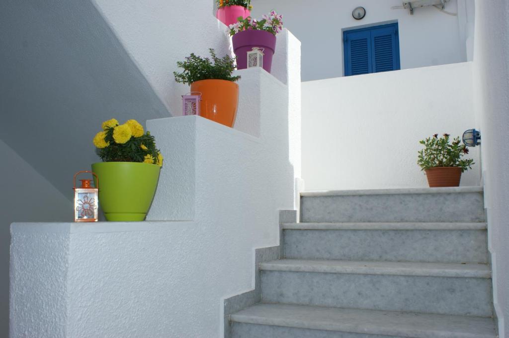 Elia Studios Naxos City Exterior foto